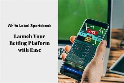 Understanding White Label Sports Betting Solutions for Entrepreneurs and Businesses