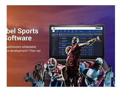 Understanding White Label Sports Betting Solutions for Entrepreneurs and Businesses