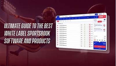 Understanding White Label Sports Betting Solutions for Entrepreneurs and Businesses