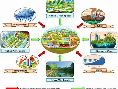 Exploring Klimabrunnen: Understanding Its Significance and Environmental Impact on Climate Change