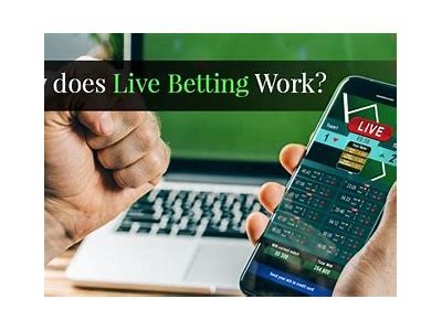 Experience the Thrill of Live Betting with Willbet - Your Ultimate Betting Destination