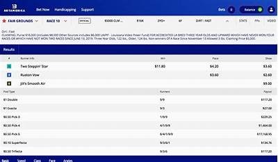 Bet on MX racing with Willbet - The ultimate online betting platform