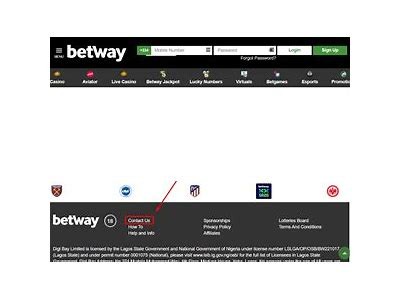 Comprehensive Guide to Willbet Sportsbook Customer Service and Support Options