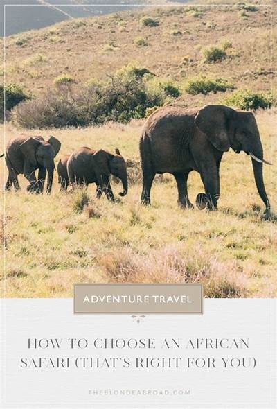 Discover the Best of South Africa with Willbet, Your Travel Partner