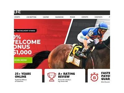 Bet on MX racing with Willbet - The ultimate online betting platform