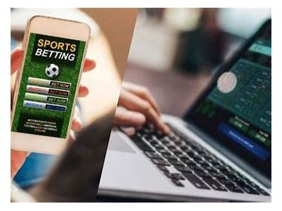 Experience the Thrill of Live Betting with Willbet - Your Ultimate Betting Destination