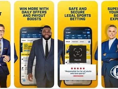 Willbetcom Comprehensive Online Sports Betting Platform for Secure and Exciting Gambling Experience