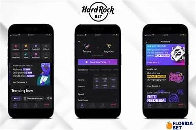 Contact Hard Rock Bet Customer Service for Immediate Assistance and Support