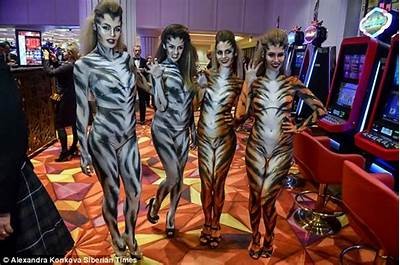 "Experience the Excitement at the Tigre Casino"