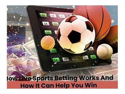 Exploring the Exciting Features and Benefits of the Willbet Sports Network for Sports Enthusiasts
