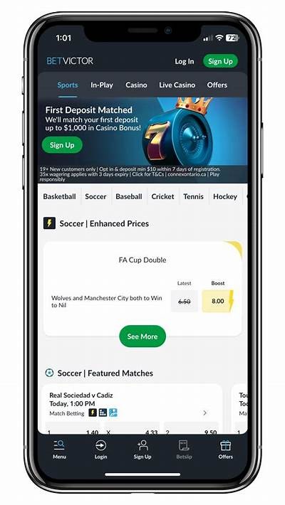 Discover the willbet Sportsbook app for top betting experiences