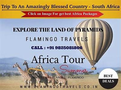 Discover the Best of South Africa with Willbet, Your Travel Partner