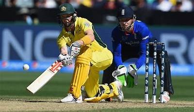 Exploring Willbet Cricket: Your Ultimate Guide to Betting on Cricket Matches Online